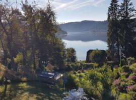 Wunderschönes Chalet mit Seeblick, hotel in Schluchsee