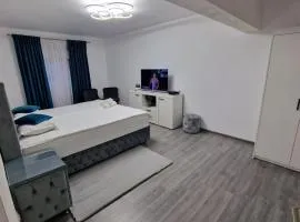 Apartament AlyMit Băile Herculane