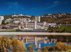 Hotel Regua Douro