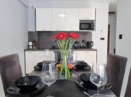 Katowice Apartamenty Hetmańska 4