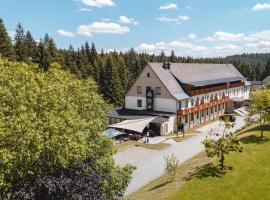 Waldhotel Vogtland, spa hotel u gradu Klingental