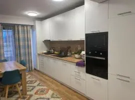 BRT Apartment