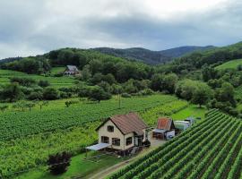 DANDELION Bed & Breakfast, готель у місті Рибовілле