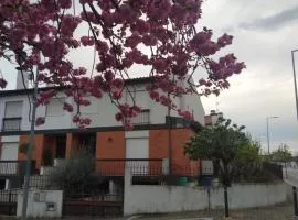 Villa Flaviae