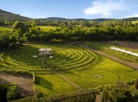 Torciano Hotel Wine & Winery, Tuscany