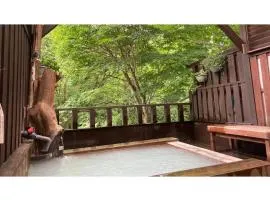 Shinyu Onsen Kurikomaso - Vacation STAY 45507v