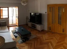 Apartament Axa Brâncuși