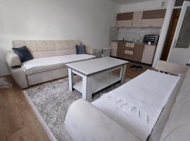 Apartman Andric, отель в городе Фоча