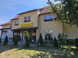 Pensiunea Baron Bazna, hotel in Bazna