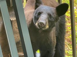 Bears Among Us, hotell i Gatlinburg