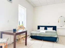 Stella apartment in city center with free parking