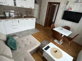 Divčinova Apartman 008