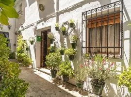 Casa con patio y terraza en Barrio histórico de la Villa, junto al Adarve