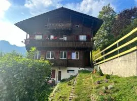 Chalet Luegistal