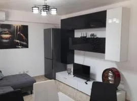 Apartament de lux cu 3 camere