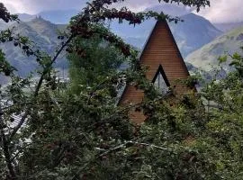 Emotion Kazbegi