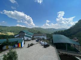 Pensiunea Nicoară, guest house in Buzau