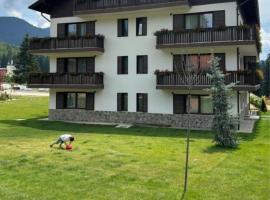 ALBERT RESIDENCE APARTHOTEL GRAND CHALET with optional SPA access to Alpin Resort, hotel in Poiana Brasov