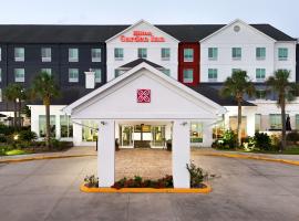 Hilton Garden Inn Houston/Clear Lake NASA, hotel en Webster