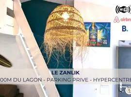 Le Zanlik - Rare, 100m du Lagon, Hypercentre Saint-Leu