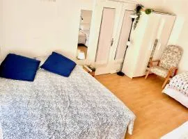 Chambre chez l'habitant en hyper centre à Strasbourg