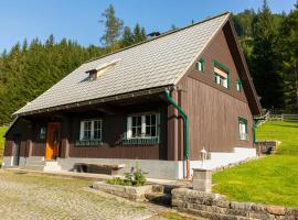 Frein Chalets - Kaltenbach，位于Frein的木屋