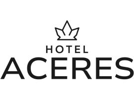 Hotel Aceres，薩爾塔的飯店