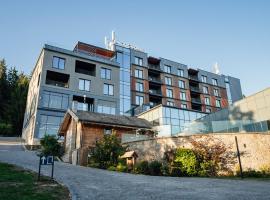 Peakture Hotel Balvanyos, ξενοδοχείο σε Balvanyos