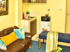 Spacious studio Apt Milimani