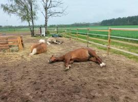 Auszeit auf der Seelenfarm, hotel i Nienburg