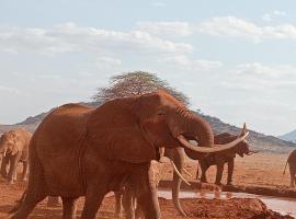 Tausa Tsavo Eco Lodge，位于Voi的低价酒店