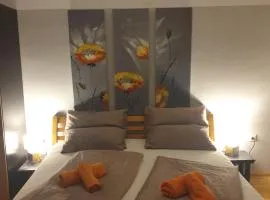 "Wohlfühl-Oase im Zentrum von Villach-1 Zimmer, Apartment , Garconniere Villach City