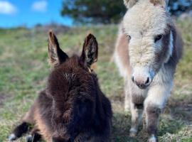 Mælstrøm End Eco Farmstay, pet-friendly hotel sa Puponga