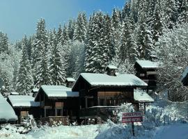 Charmant chalet aux Gets, Hotel in Les Gets