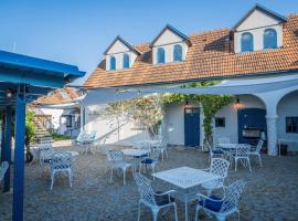 Naturální vinařství Tomáš Křížek, Penzion Dvorek, hotel din Dolní Dunajovice