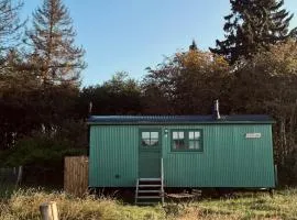 The Green Shepherd, a charming authentic cabin surrounded by beautiful countryside