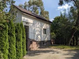 Family and pet friendly house surrounded by nature near city center