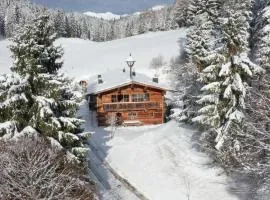 Luxury old wood mountain chalet in a sunny secluded location with gym, sauna & whirlpool