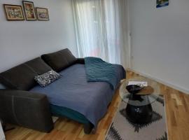 Amazing apartment, hotel en Zemun