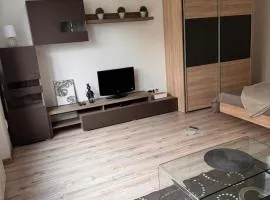 Apartman RUŽA7