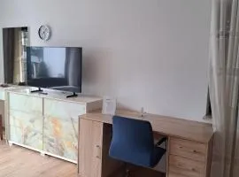 schöne Wohnung am Georgenberg