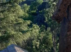 Piedramadre hermosa cabaña a metros del río hasta 4 huéspedes