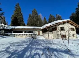 Ski In&Out, Lenzerheide freistehendes Top CHALET, urchig, gross