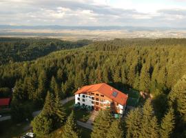 Mountain-Rest Pension, Hotel in Miercurea Ciuc