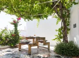 LIMASSOL AKROTIRI VINE COTTAGE a