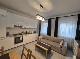 Apartament Mickiewicza