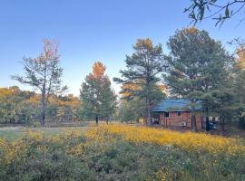 Luxury Cabin with Fishing Pond-Hot Springs, bed and breakfast en Pearcy