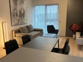 Apartmán U Klásků 2 - Šantovka living