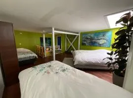 Apart Hotel Jagui Haus Departamentos tipo Loft con Hermosa Terraza vista al mar ideal Para año nuevo