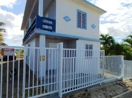 Rooster Run Guest House and Camping offers a unique rooftop and off the ground camping experience along with interior air-conditioned rooms, Enjoy Carribean Breezes, Ocean Views, Stay and Play, convenient location